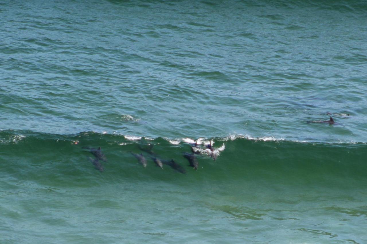 Gulls Way Keurboomstrand Exterior foto